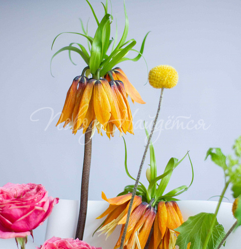 Букет Всплеск эмоций — Повод Найдется