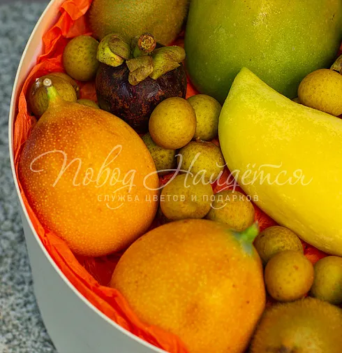 Корзина Экзо — Повод Найдется