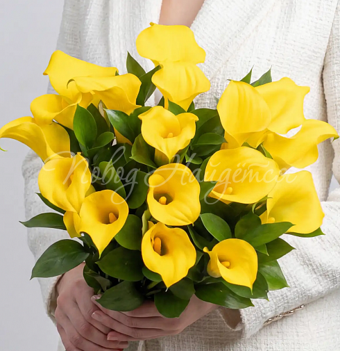 Букет Пальме-де-Майорка — Повод Найдется