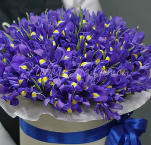 Цветы в шляпной коробке Корзина Ирма