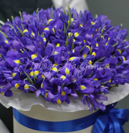 Корзина Ирма — Повод Найдется