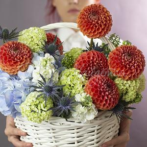 Корзина Барбарис