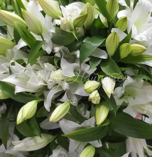 Букет Овации — Повод Найдется