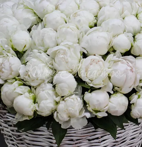 Букет Моя Венеция — Повод Найдется