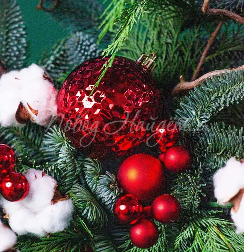 Рождественский миг