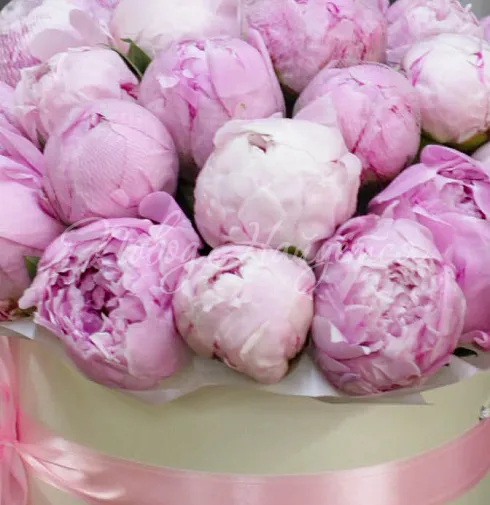 Букет Корсика — Повод Найдется