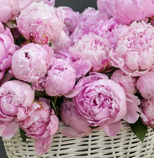 Букет Великолепие Италии — Повод Найдется