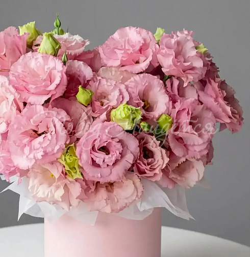 Корзина Алиса — Повод Найдется