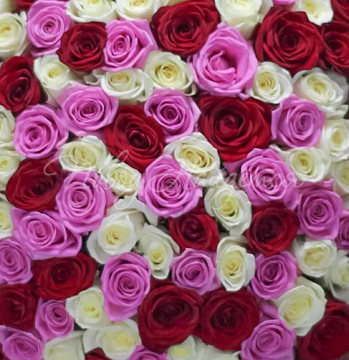 Букет Барселона — Повод Найдется