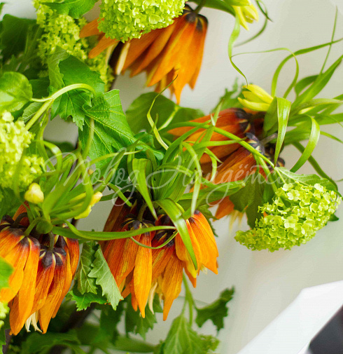 Букет Выстрел Эндорфинов — Повод Найдется